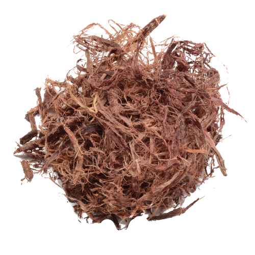 Mimosa Hostilis 25g - shredded